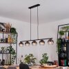 Koyoto Hanglamp, Kogellampje, Hanglamp Duidelijk, Rookkleurig, 5-lichts