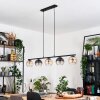 Koyoto Hanglamp, Kogellampje, Hanglamp Amber, Duidelijk, Rookkleurig, 5-lichts