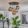 Ripoll Plafondlamp, Kogellampje Rookkleurig, 5-lichts