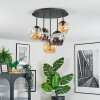 Ripoll Plafondlamp, Kogellampje Amber, Rookkleurig, 5-lichts