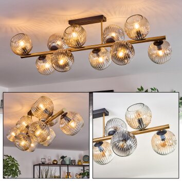 Ripoll Plafondlamp, Kogellampje Goud, Zwart, 10-lichts