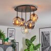 Ripoll Plafondlamp, Kogellampje Amber, Duidelijk, Rookkleurig, 5-lichts