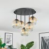Ripoll Plafondlamp, Kogellampje Amber, Duidelijk, 5-lichts
