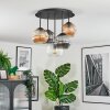 Ripoll Plafondlamp, Kogellampje Amber, Duidelijk, Rookkleurig, 5-lichts