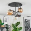 Ripoll Plafondlamp, Kogellampje Amber, Duidelijk, Rookkleurig, 5-lichts