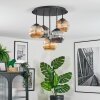 Ripoll Plafondlamp, Kogellampje Amber, Rookkleurig, 5-lichts