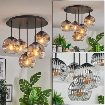 Ripoll Plafondlamp, Kogellampje Chroom, Duidelijk, Rookkleurig, 5-lichts