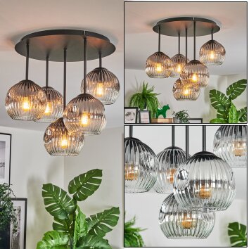 Ripoll Plafondlamp, Kogellampje Duidelijk, Rookkleurig, 5-lichts
