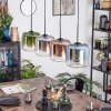 Lauden Hanglamp, Hanglamp Blauw, Groen, Duidelijk, Koperkleurig, Rookkleurig, 4-lichts