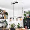 Gastor Hanglamp, Kogellampje, Hanglamp Amber, Duidelijk, Rookkleurig, 4-lichts