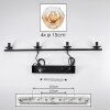 Ripoll Hanglamp, Kogellampje, Hanglamp Amber, Duidelijk, 4-lichts