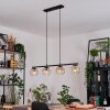 Ripoll Hanglamp, Kogellampje, Hanglamp Amber, Duidelijk, 4-lichts