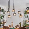 Ripoll Hanglamp, Kogellampje, Hanglamp Amber, Duidelijk, Rookkleurig, 6-lichts