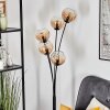 Koyoto Kogellampje, Staande lamp Amber, Duidelijk, 5-lichts