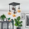 Gastor Plafondlamp, Kogellampje Amber, Rookkleurig, 5-lichts