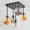 Gastor Plafondlamp, Kogellampje Amber, Duidelijk, Rookkleurig, 5-lichts