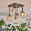 Gastor Plafondlamp, Kogellampje Amber, Duidelijk, Rookkleurig, 5-lichts