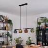 Ripoll Hanglamp, Kogellampje, Hanglamp Blauw, Goud, Groen, Koperkleurig, 4-lichts