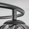 Koyoto Plafondlamp, Kogellampje 37 cm Duidelijk, Rookkleurig, 3-lichts