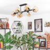 Ripoll Plafondlamp, Kogellampje Amber, 8-lichts
