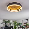 Guine Plafondlamp LED Goud, Zwart, 1-licht