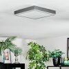 Salmi Plafondlamp, Paneel LED Grijs, Zilver, 1-licht