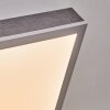 Salmi Plafondlamp, Paneel LED Grijs, Zilver, 1-licht