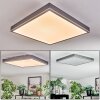 Salmi Plafondlamp, Paneel LED Grijs, Zilver, 1-licht