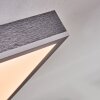 Salmi Plafondlamp, Paneel LED Grijs, Zilver, 1-licht, Afstandsbediening