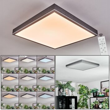 Salmi Plafondlamp, Paneel LED Grijs, Zilver, 1-licht, Afstandsbediening