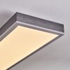 Salmi Plafondlamp, Paneel LED Grijs, Zilver, 1-licht