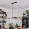 Ripoll Hanglamp, Kogellampje, Hanglamp Amber, Duidelijk, Rookkleurig, 4-lichts