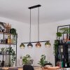 Koyoto Hanglamp, Kogellampje, Hanglamp Blauw, Groen, Duidelijk, Koperkleurig, 4-lichts