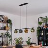 Ripoll Hanglamp, Kogellampje, Hanglamp Blauw, Goud, Groen, 4-lichts