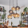 Ripoll Hanglamp, Kogellampje, Hanglamp Amber, Duidelijk, Rookkleurig, 6-lichts
