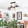Koyoto Plafondlamp, Kogellampje Amber, Duidelijk, Rookkleurig, 6-lichts