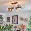 Koyoto Plafondlamp, Kogellampje Amber, Duidelijk, Rookkleurig, 6-lichts