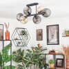 Koyoto Plafondlamp, Kogellampje Amber, Rookkleurig, 6-lichts