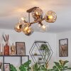 Ripoll Plafondlamp, Kogellampje Amber, Duidelijk, Rookkleurig, 8-lichts