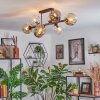 Ripoll Plafondlamp, Kogellampje Amber, Duidelijk, Rookkleurig, 8-lichts