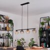 Ripoll Hanglamp, Kogellampje, Hanglamp Amber, Duidelijk, Rookkleurig, 4-lichts