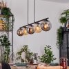 Gastor Hanglamp, Kogellampje, Hanglamp Amber, Rookkleurig, 5-lichts