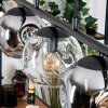 Ripoll Hanglamp, Kogellampje, Hanglamp Amber, Duidelijk, Rookkleurig, 5-lichts