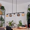 Ripoll Hanglamp, Kogellampje, Hanglamp Amber, Duidelijk, Rookkleurig, 5-lichts