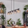 Ripoll Hanglamp, Kogellampje, Hanglamp Amber, Duidelijk, Rookkleurig, 5-lichts