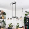 Ripoll Hanglamp, Kogellampje, Hanglamp Amber, Duidelijk, Rookkleurig, 5-lichts