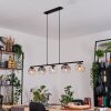 Ripoll Hanglamp, Kogellampje, Hanglamp Amber, Duidelijk, Rookkleurig, 5-lichts