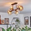 Koyoto Plafondlamp, Kogellampje Amber, Duidelijk, 6-lichts