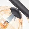 Koyoto Plafondlamp, Kogellampje Amber, Duidelijk, 6-lichts
