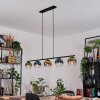 Koyoto Hanglamp, Kogellampje, Hanglamp Blauw, Goud, Groen, Duidelijk, 5-lichts
